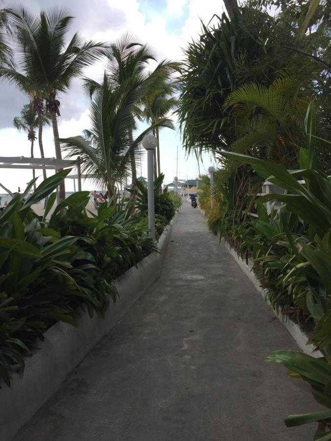 אפרטהוטל בוקה צ'יקה Terraza Del Caribe מראה חיצוני תמונה